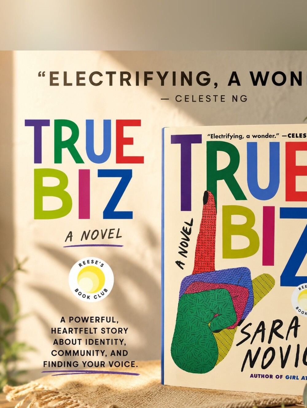 True Biz by Sara Novic — Colorful Hardcover Novel